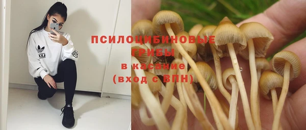 a pvp Алзамай