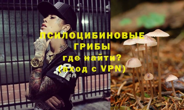 соль ск Алексин