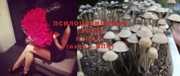 a pvp Алзамай