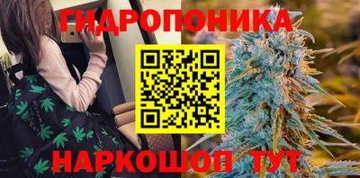 гидропоника Кимры