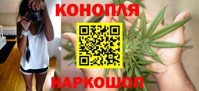 дживик Бийск