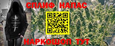 Альфа ПВП Кингисепп