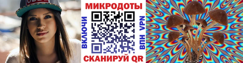 Галлюциногенные грибы Psilocybine cubensis  Лесосибирск 