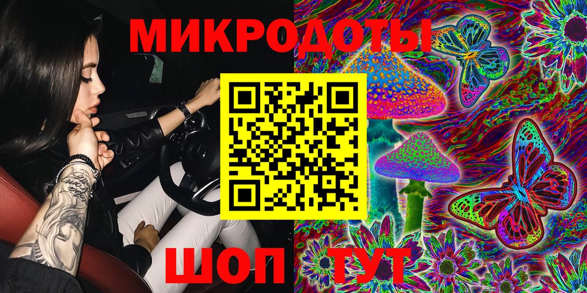APVP Лесосибирск