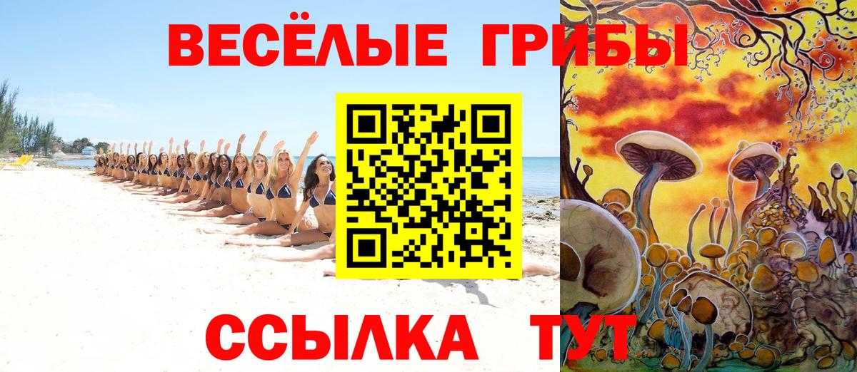 наркота  Галлюциногенные грибы GOLDEN TEACHER  Лесосибирск  Галлюциногенные грибы Psilocybine cubensis 