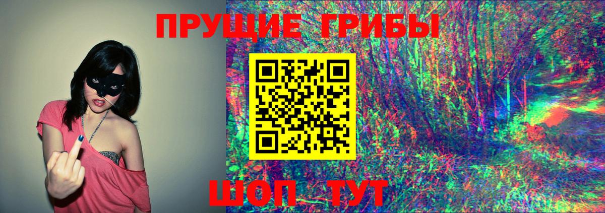 Лесосибирск  Галлюциногенные грибы прущие грибы  Вход с VPN  Галлюциногенные грибы ЛСД 